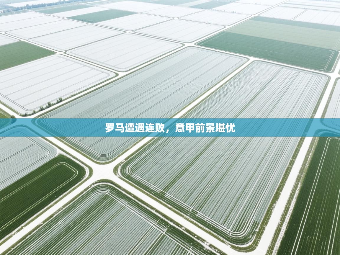 罗马遭遇连败，意甲前景堪忧  第1张