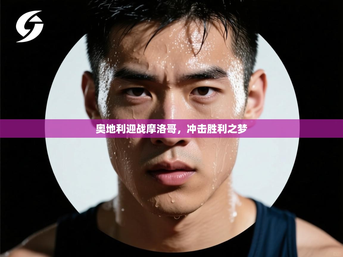 奥地利迎战摩洛哥，冲击胜利之梦  第1张