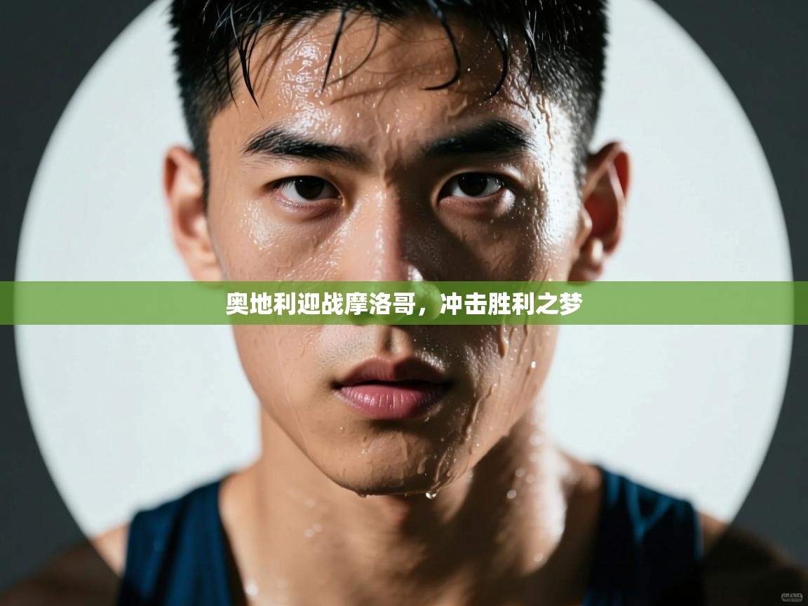 奥地利迎战摩洛哥，冲击胜利之梦  第2张