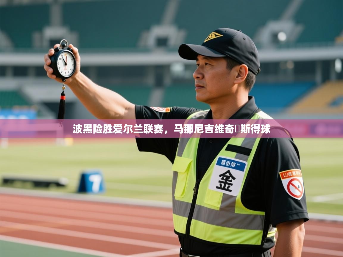 波黑险胜爱尔兰联赛,马那尼吉维奇陽斯得球 第2张