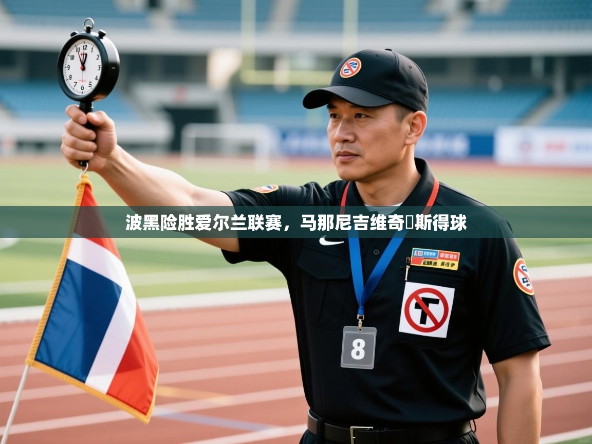 波黑险胜爱尔兰联赛,马那尼吉维奇陽斯得球 第1张